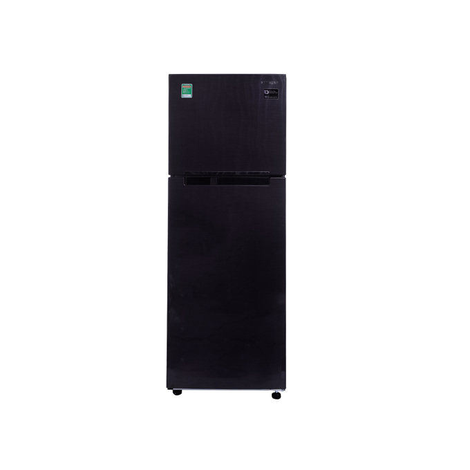 Tủ lạnh Samsung RT25M4033UT/SV 256 lít
