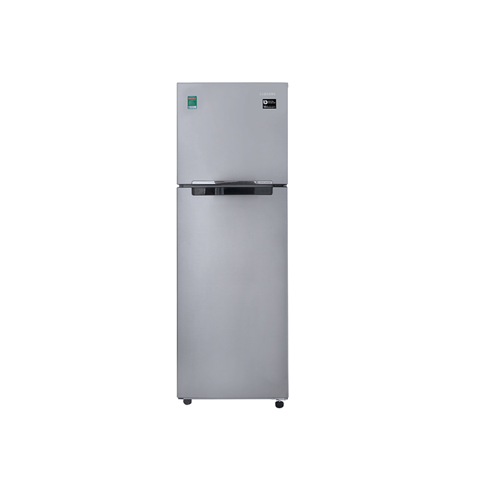 Tủ lạnh Samsung RT25M4033S8/SV 256 lít