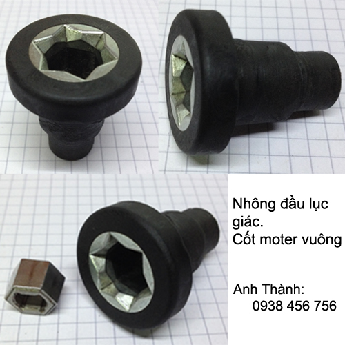 Nhông lục giác